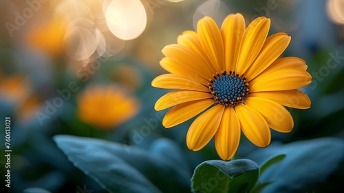  a yellow flower with a blue center surrounded by green leaves and boke of light in the backround.