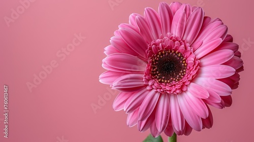  a close up of a pink flower on a pink background with a green stem in the center of the flower.