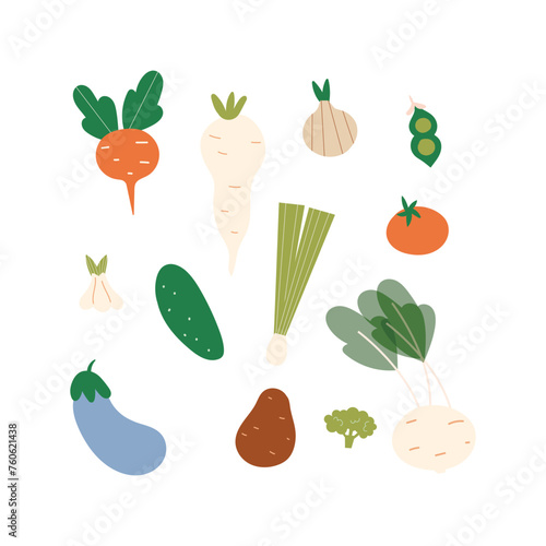 Set of isolated vegetables on a white background. Vegetable garden. 