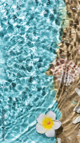 Sea water, sand and seashells background. Summer beach. Summer background.