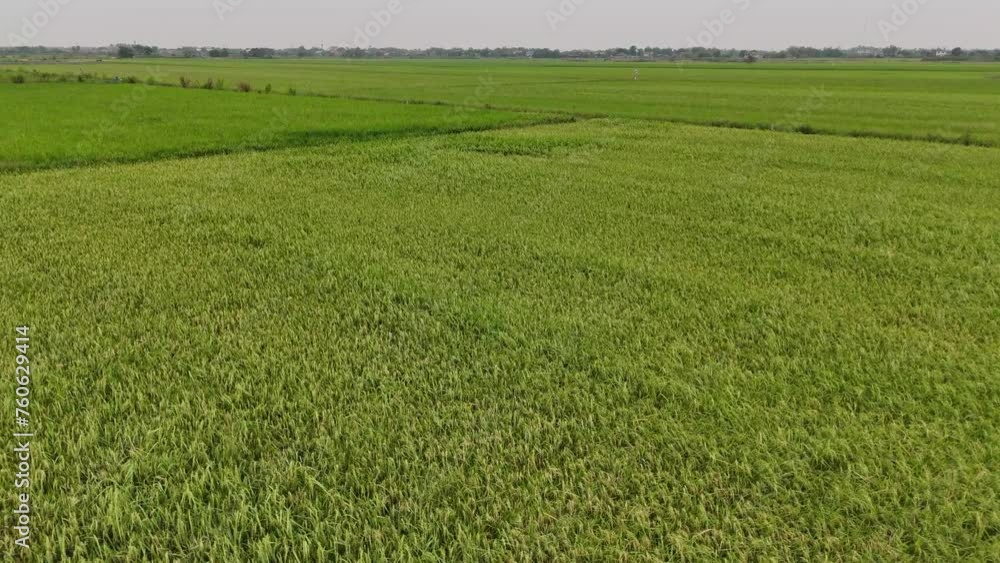 Aerial photography drone countryside agriculture and forest Aerial photography drone countryside agriculture and forest