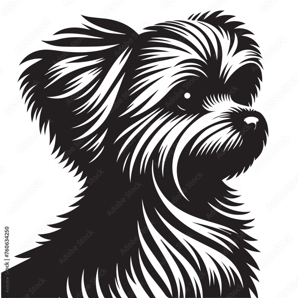 Maltese Dog Silhouettes in Sitting, Standing, Jumping positions, Maltese face silhouettes clean vector outlines, isolated on white background, cute dog puppy with hair, cuteness Maltese Dog Silhouettes in Sitting, Standing, Jumping positions, Maltese face silhouettes clean vector outlines, isolated on white background, cute dog puppy with hair, cuteness
