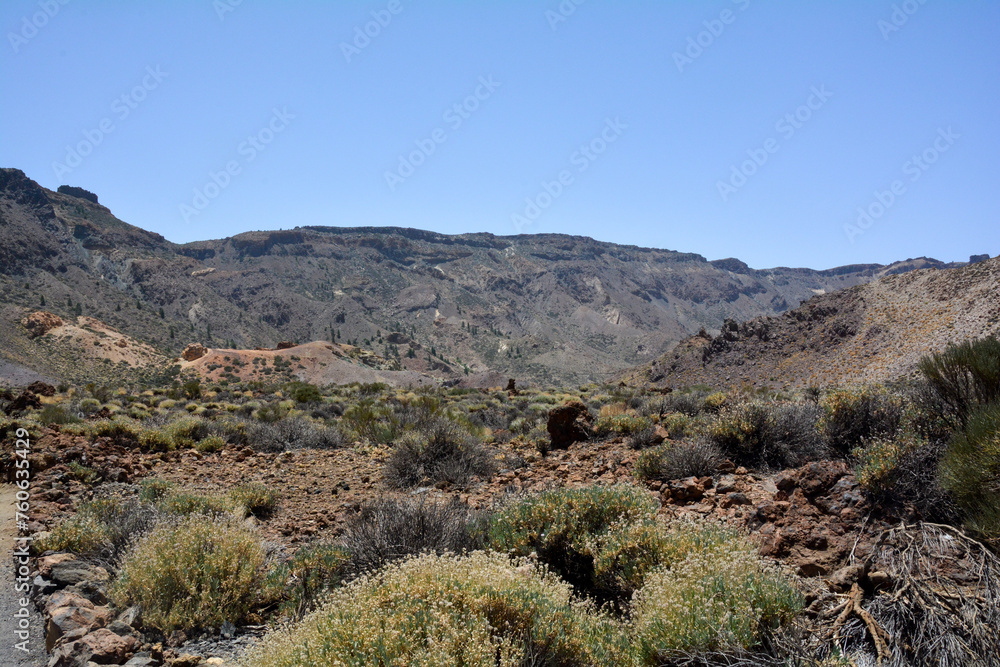 Volcanic landscape in El Teide National Park on Tenerife, Spain Volcanic landscape in El Teide National Park on Tenerife, Spain