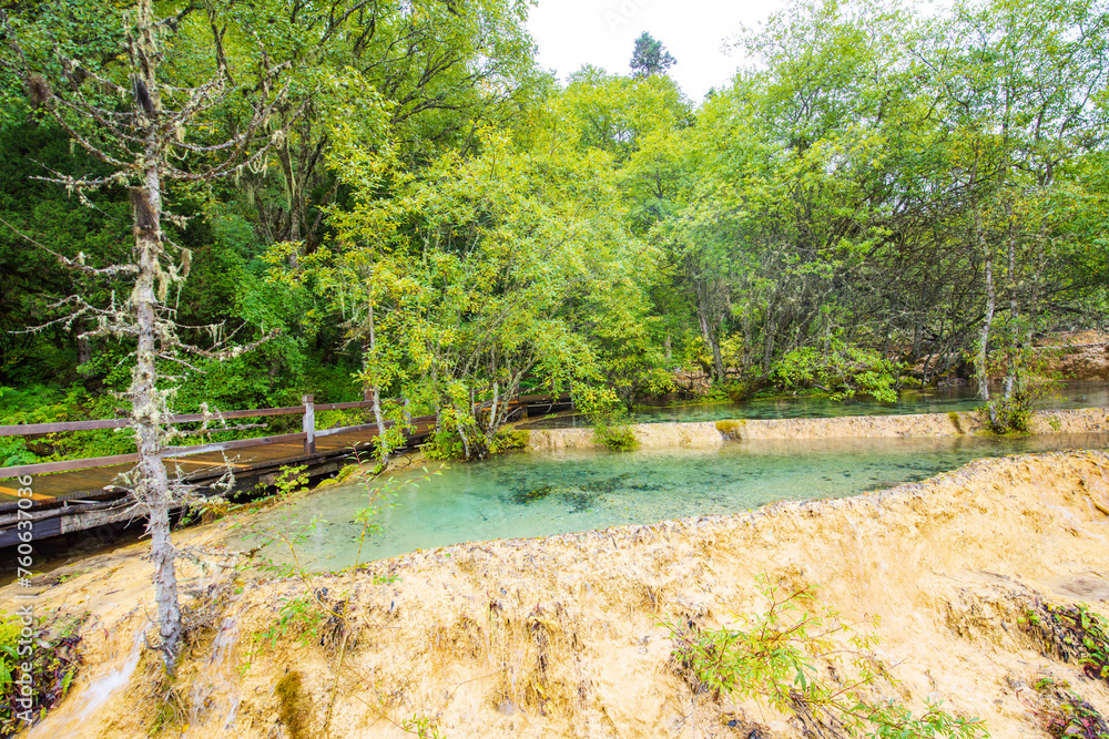 Huanglong colorful pond and spruce trees in Sichuan, China Huanglong colorful pond and spruce trees in Sichuan, China