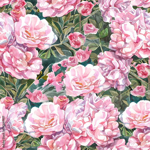 pink roses pattern background with branches watercolor pink roses