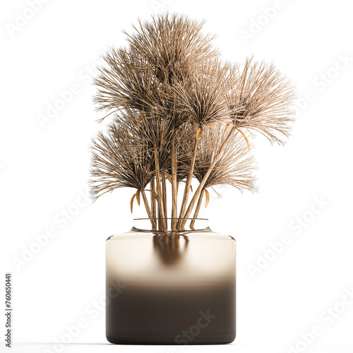 Small bouquet of dried flowers in a vase with hogweed isolated on white background