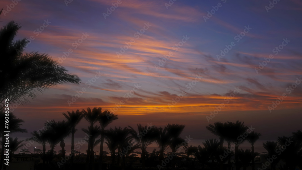 Palms on resort beach and sunrise over sea