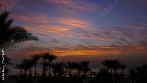 Palms on resort beach and sunrise over sea © Kokhanchikov