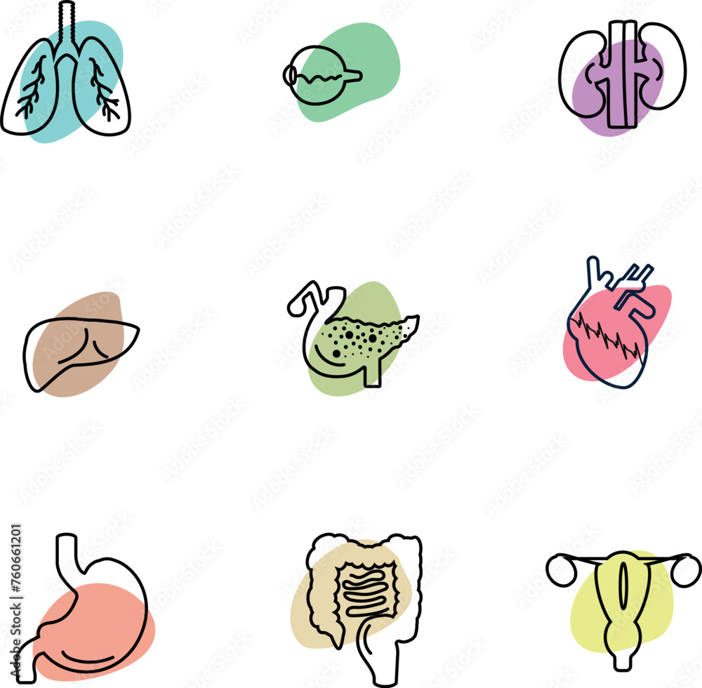 human organs icons human organs icons