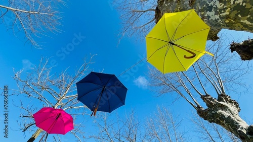 Parapluies colorés