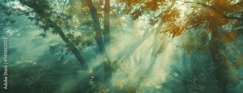 A sunny forest with green trees and plants  with an ethereal and otherworldly atmosphere  photo-like landscapes  a high tonal range  and a large canvas format.