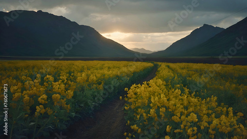 A beautiful plain surrounded by political flower, while the sun sets behind the mountain! © RaeLi