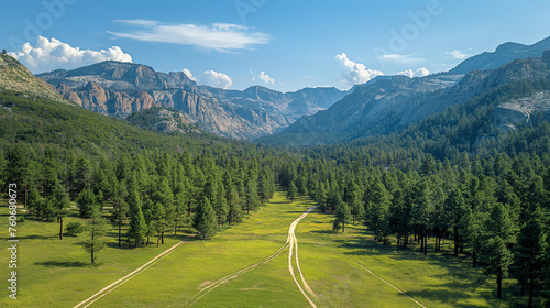 A verdant valley pathway cuts through a dense pine forest leading towards majestic mountain peaks under a clear blue sky with fluffy clouds.