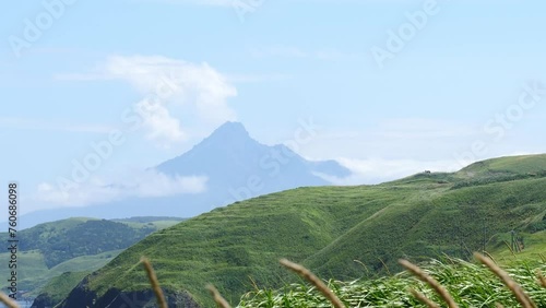 A plant swaying in the wind. Mt. Rishiri seen from Rebun Island.