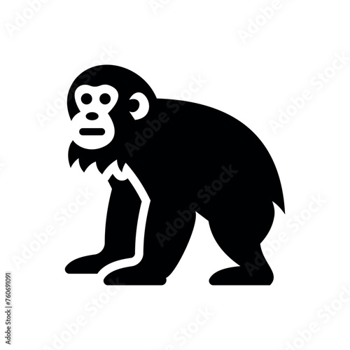 monkey icon vector illustration