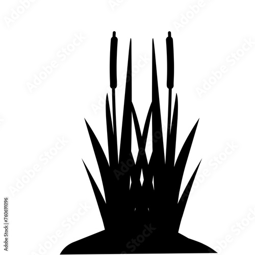 Lake Swamp Bush Silhouette