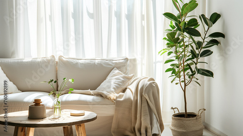 Living room with rubber tree