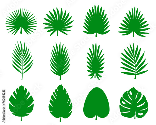 Tropical leaves set. Palm leaves silhouettes isolated  green leafs  environment and nature eco sign