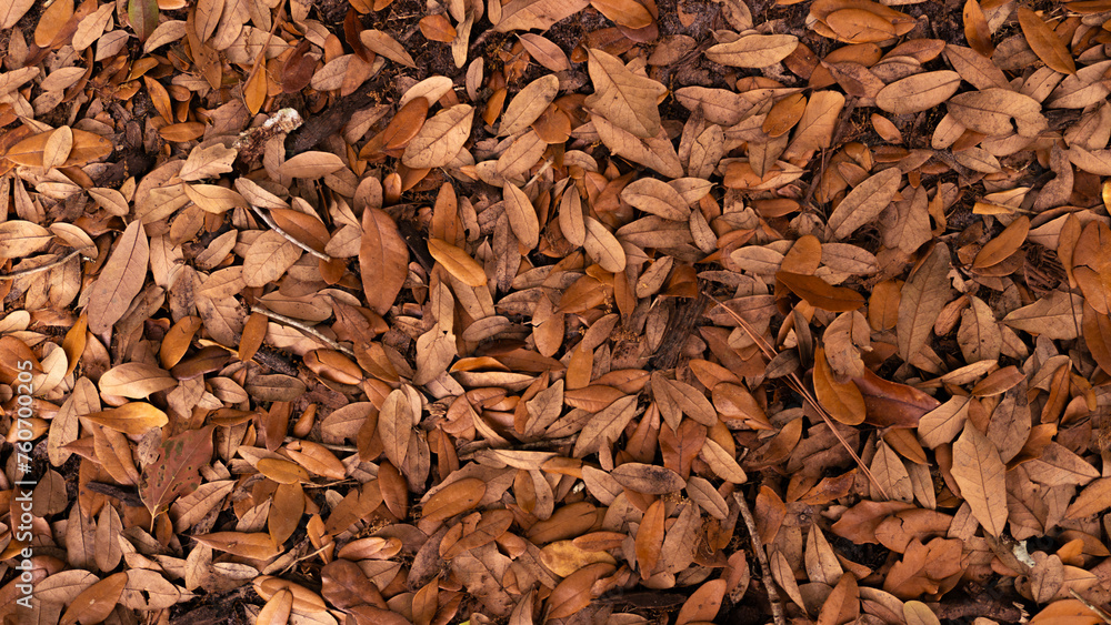 Autumn Leaves Texture Fall Background in Brown and Orange Autumn Leaves Texture Fall Background in Brown and Orange