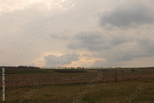 Fototapeta Naklejka Na Ścianę i Meble -  A field with a few trees