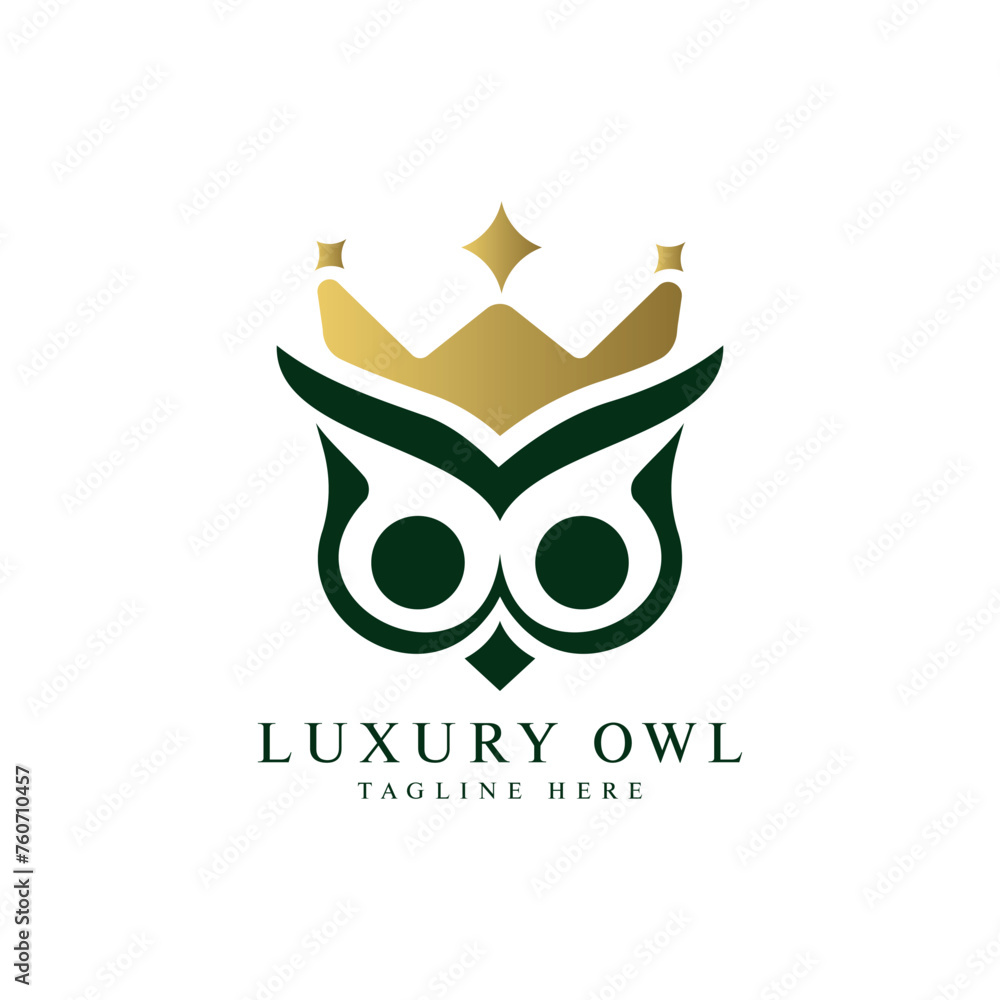 Luxury Owl Logo design Creative Minimal vector template Owl with crown