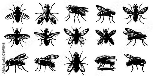 Discover the overlooked beauty of flies with this detailed set of fly silhouettes, capturing their dynamic movements from flying to landing and resting. Rendered in a minimalist black and white style.