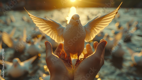 Person Holding White Bird in Hands © easybanana