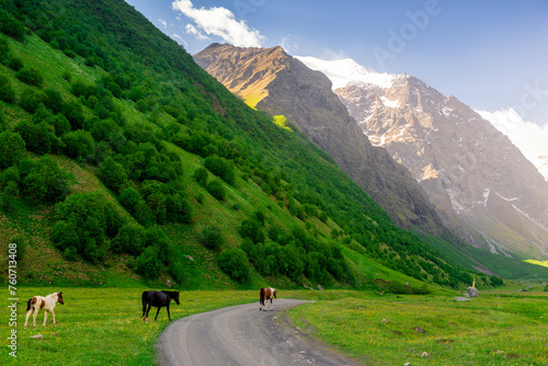 Horses graze in the picturesque mountain valley of the northern Caucasus. Russia