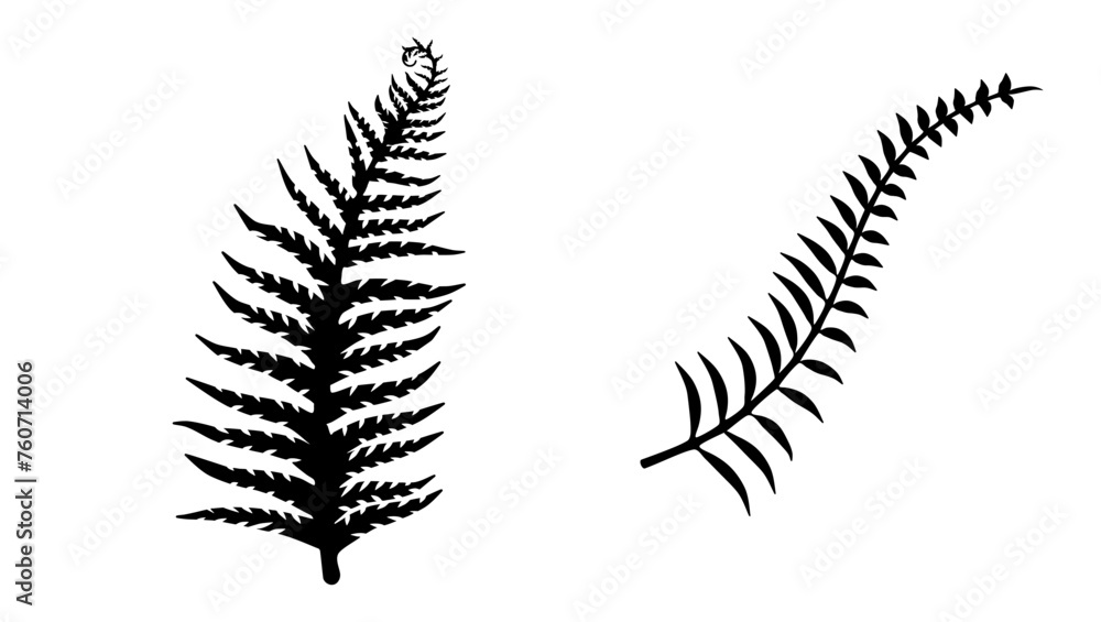 Silver Fern emblem, black isolated silhouette Silver Fern emblem, black isolated silhouette