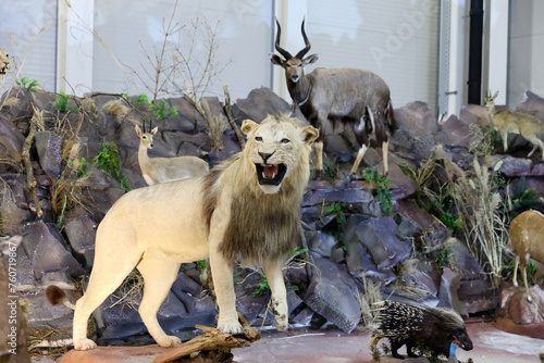 Stuffed wild animals presented at a fishing and hunting exhibition.