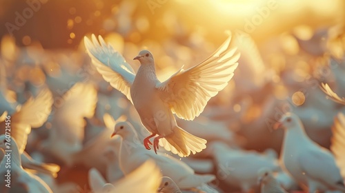 Social justice rally symbolized by peaceful doves
