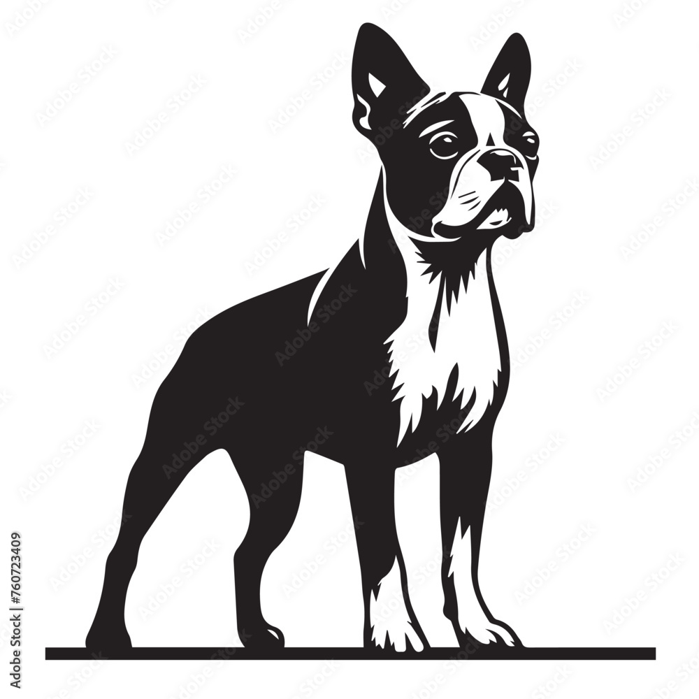 Boston Terrier dog Silhouettes, Boston Terrier dog sitting pose silhouettes, Boston Terrier dog Standing and jumping silhouettes, cute dog on white background, Boston Terrier Boston Terrier dog Silhouettes, Boston Terrier dog sitting pose silhouettes, Boston Terrier dog Standing and jumping silhouettes, cute dog on white background, Boston Terrier