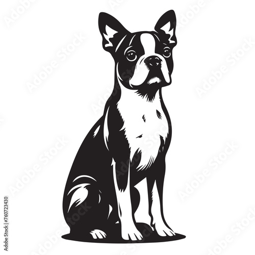 Boston Terrier dog Silhouettes, Boston Terrier dog sitting pose silhouettes, Boston Terrier dog Standing and jumping silhouettes, cute dog on white background, Boston Terrier