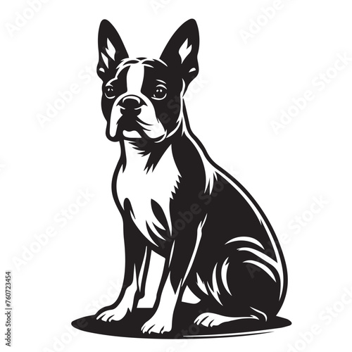 Boston Terrier dog Silhouettes, Boston Terrier dog sitting pose silhouettes, Boston Terrier dog Standing and jumping silhouettes, cute dog on white background, Boston Terrier