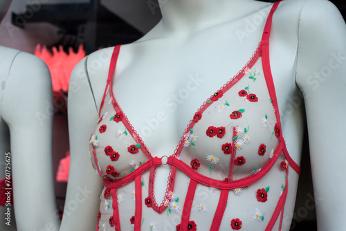 Closeup of  printed flowers on red bra on mannequin in a fashion store showroom © pixarno