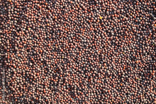 Top View of Mustard Seeds