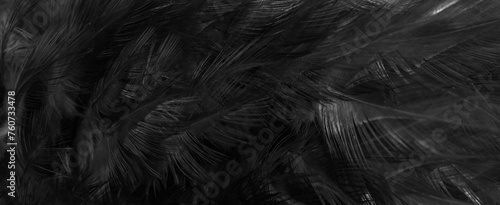 black feathers with an interesting pattern. background © Krzysztof Bubel