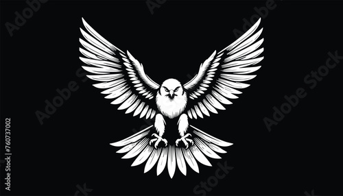 eagle with wings, eagle flying, eagle logo design, eagle design,  © Ali