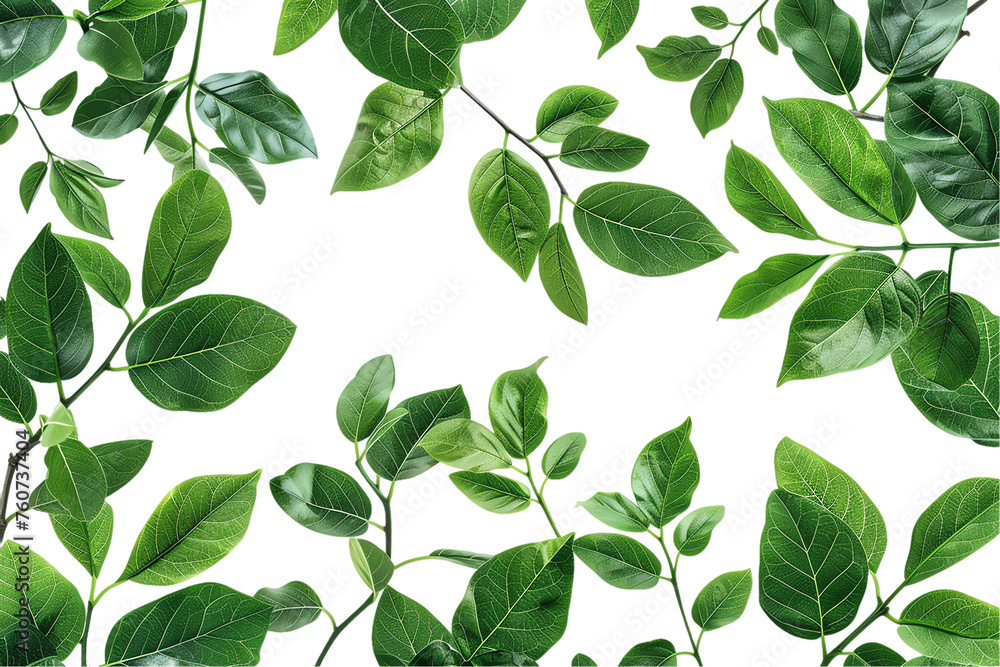 Green leaves seamless pattern background with nature and plant elements for spring and summer decoration Green leaves seamless pattern background with nature and plant elements for spring and summer decoration