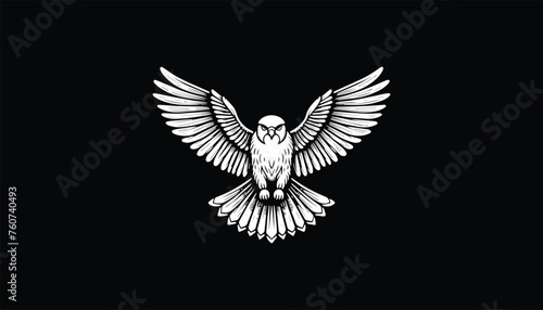 Eagle, eagle flying, eagle design, eagle logo design, falcon, hawk, osprey, bald 