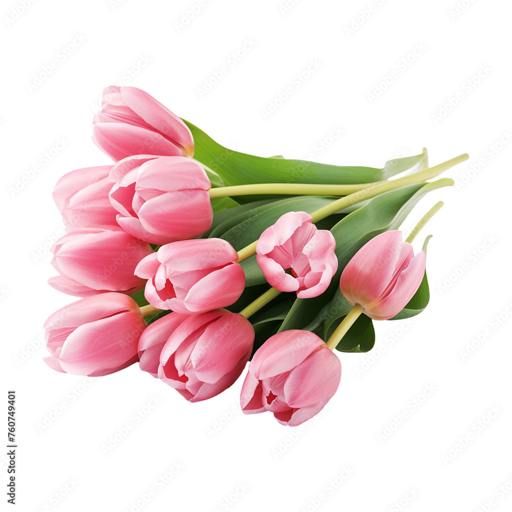 tulip isolated on transparent background tulip isolated on transparent background