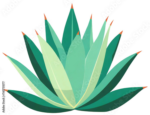 Agave isolated on transparent background. Agave is a genus of monocots native to the arid regions of the Americas
