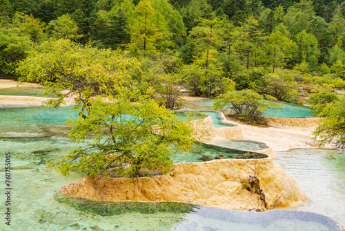 Huanglong colorful pond and spruce trees in Sichuan, China photo