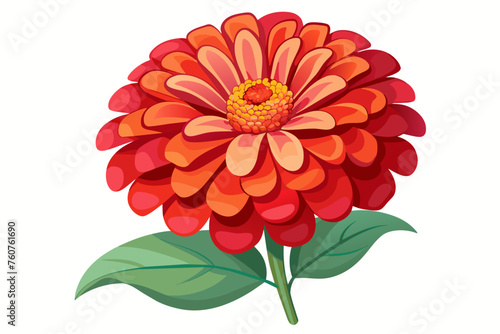 Zinnia flower, flat style, vector illustration artwork