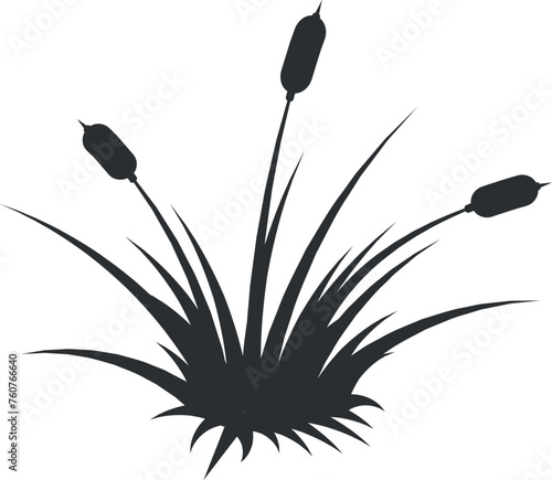 Reed icon. Growing swamp plant black silhouette
