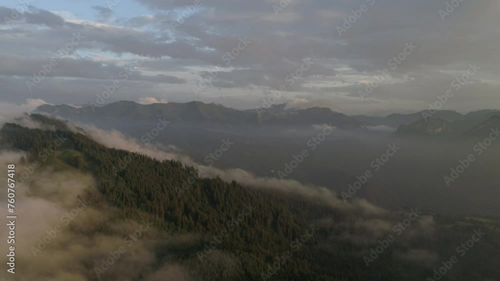 Aerial Beautiful View Of Fog In Forest, Drone Flying Over Green Trees Aerial Beautiful View Of Fog In Forest, Drone Flying Over Green Trees