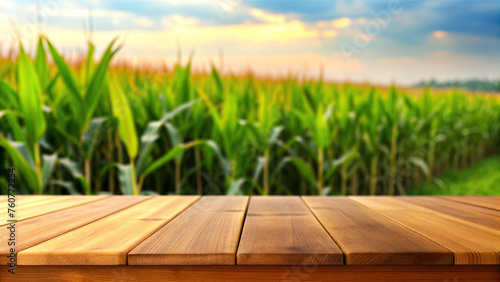 Wooden table with blurred corn field background (ID: 760772254)