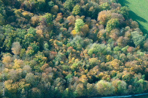 vue aérienne de forêt à l'automne en France
