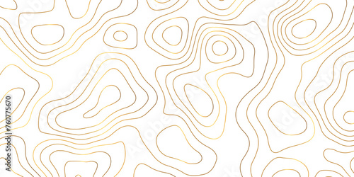 abstract golden wave paper curved reliefs background. Topography map pattern, Geographic curved, vector illustration. seamless textrue, vintage waves. Panorama view multicolor wave curve line.