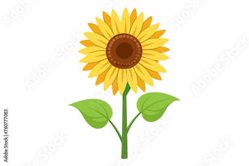  Sunflower with stem and dark green leaves  vector art illustration 